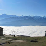sehr schönes Breitbildfoto vom Niederhorn aus gesehen in die Bergwelt des Berner Oberland