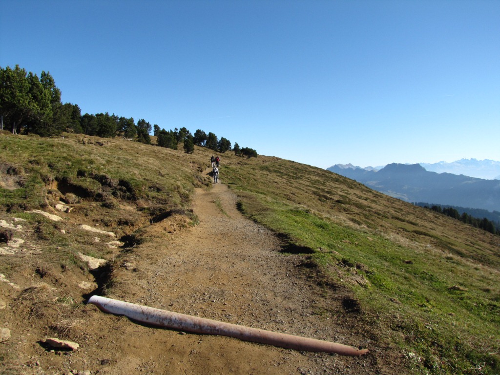 auf breiten Wanderweg geht es Richtung Burgfeldstand