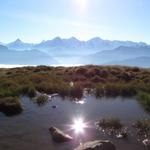 Blick auf das Dreigestirn Eiger, Mönch und Jungfrau