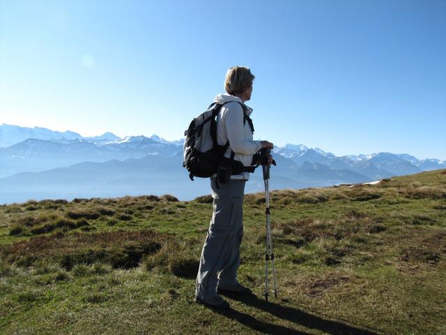 Mäusi bestaunt weiterhin die wunderschöne Aussicht