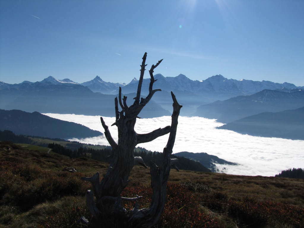 einfach schön diese Aussicht