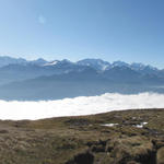 sehr schönes Breitbildfoto von Burgfeldstand aus aufgenommen, mit Blick in die Berner Hochalpen