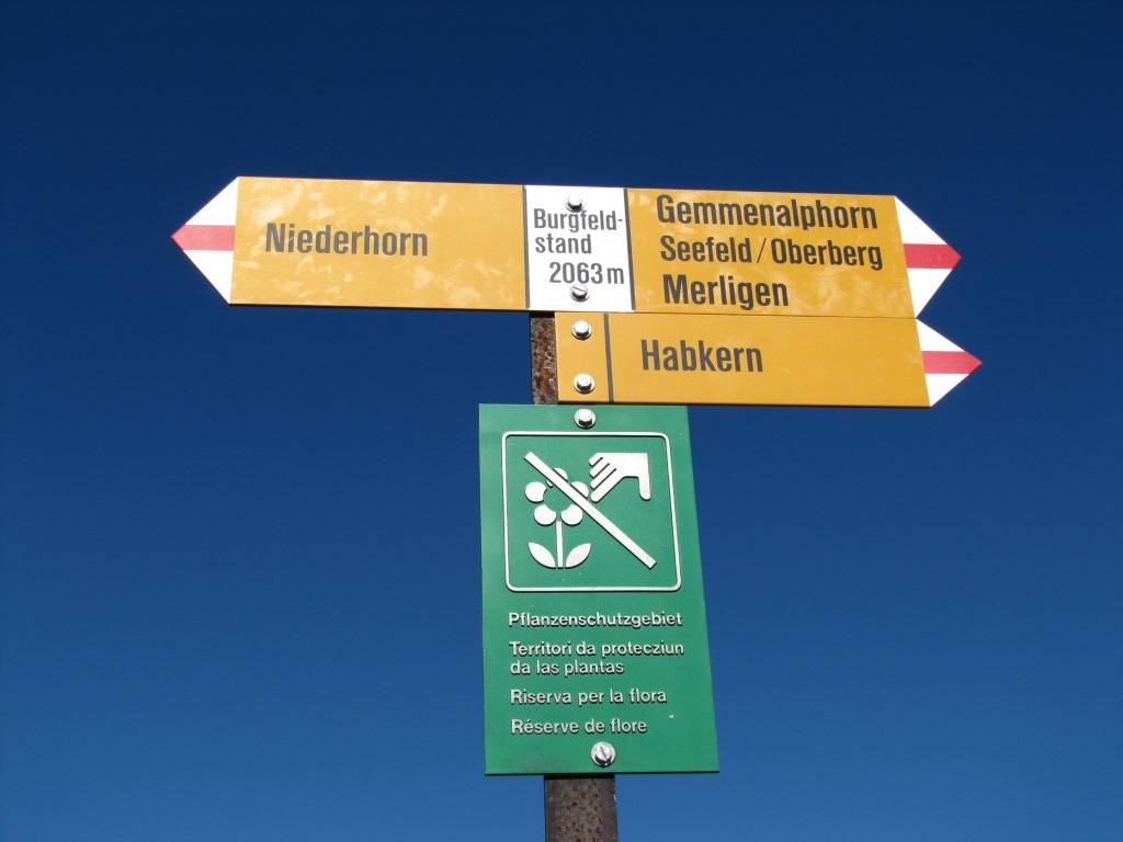 Wegweiser bei Burgfeldstand 2063 m.ü.M., unser nächstes Ziel das Gemmenalphorn