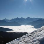 Wetterhorn, Lauteraarhorn, Schreckhorn, Finsteraarhorn, Eiger, Mönch, Jungfrau und Breithorn