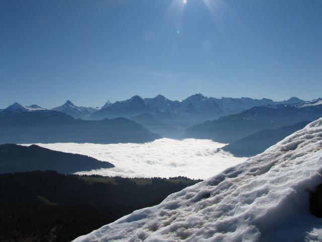 Wetterhorn, Lauteraarhorn, Schreckhorn, Finsteraarhorn, Eiger, Mönch, Jungfrau und Breithorn