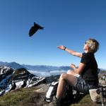 während der Pause auf dem Gemmenalphorn, füttert Mäusi die Bergdohlen