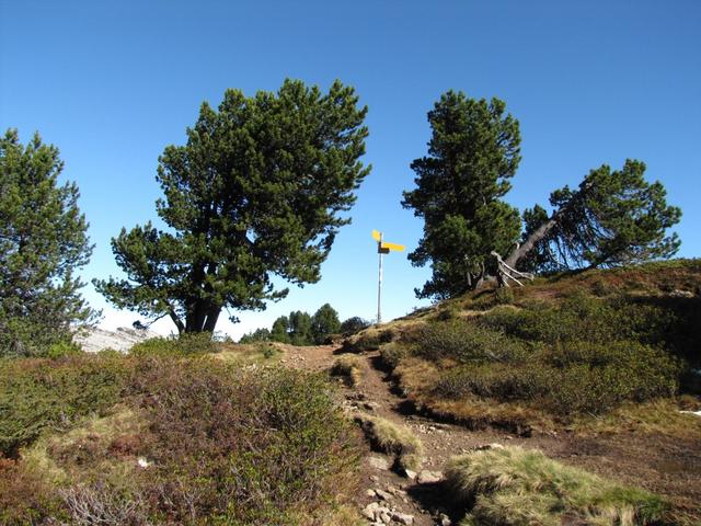 wir haben die Verzweigung Kühstand bei Punkt 1862 m.ü.M. erreicht