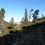 unser Wanderweg führt uns beim Loubenegg, alles weiter geradeaus