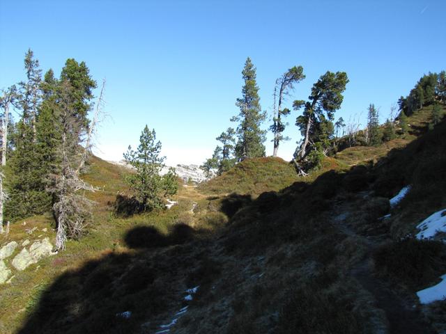 unser Wanderweg führt uns beim Loubenegg, alles weiter geradeaus