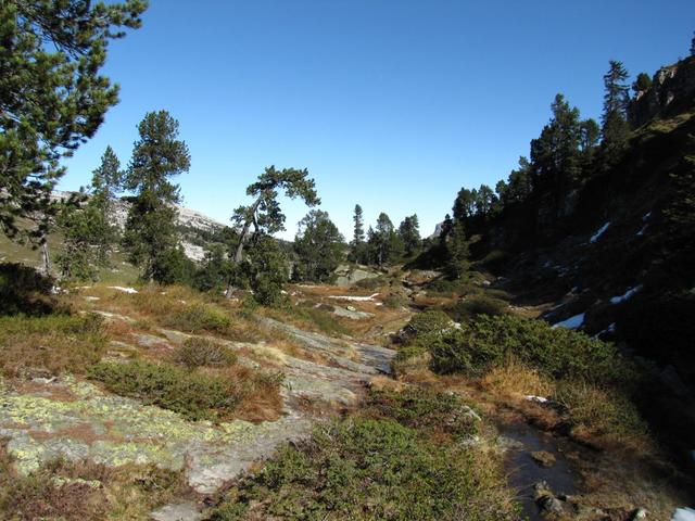 bei Punkt 1800 m.ü.M. geht es über eine schöne Moorlandschaft