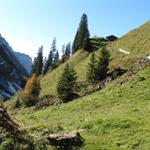 bei Punkt 1620 m.ü.M. hier haben wir den regulären Wanderweg verlassen und sind rechts nach Chumeli abgebogen