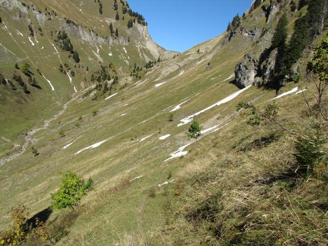 der Hang ist sehr steil. Keine Wegspuren vorhanden. So bleiben wir aber auf ca. 1500 Höhenmeter ohne abzusteigen