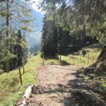 der Weg führt durch einen kleinen Wald kurz vor Oberhofner