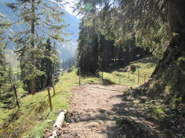 der Weg führt durch einen kleinen Wald kurz vor Oberhofner