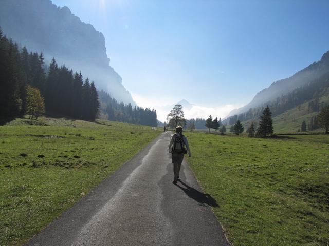 alles am Talboden vom Justistal entlang auf dem Weg zur Verzweigung Grönhütte