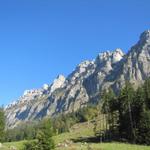 Blick hinauf zum Gemmenalphorn, Burgfeldstand und Niederhorn