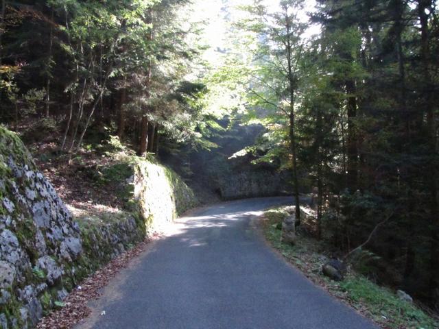 auf dem Weg nach Schmocken. Wieder Autostopp gemacht. Wieder ein netter Herr der uns bis nach Schmocken fuhr