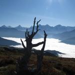 Bergwanderung Niederhorn - Gemmenalphorn - Sichle - Justistal 17.10.2011