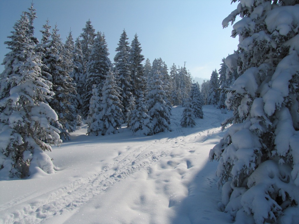 auf dieser Schneeschuhtour haben wir jeden Schritt genossen