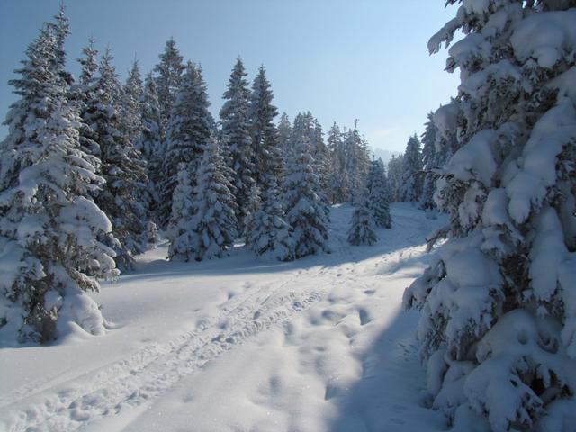 auf dieser Schneeschuhtour haben wir jeden Schritt genossen