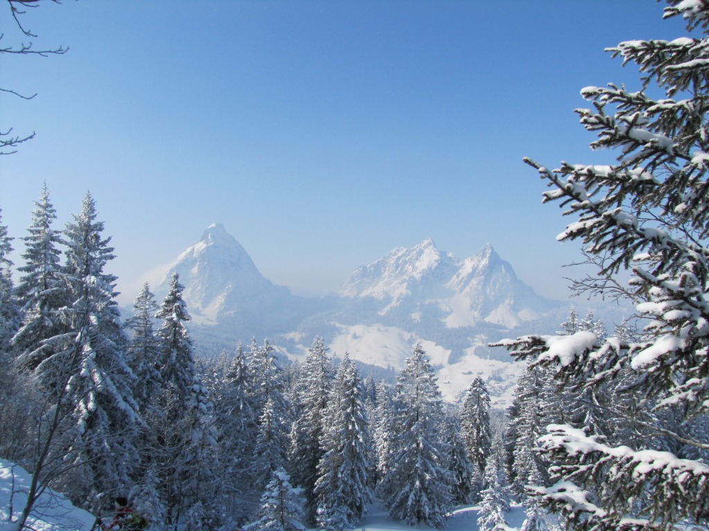 Blick Richtung Gr.Mythen, Kl.Mythen und Haggenspitz 