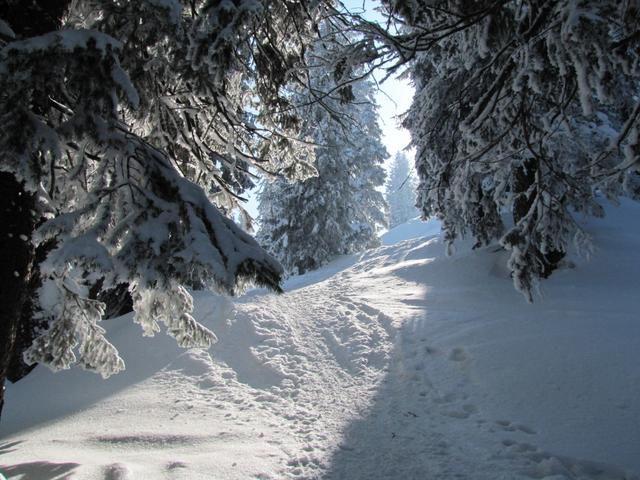 was für eine schöne Schneeschuhtour