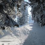 was für eine schöne Schneeschuhtour