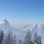 Blick Richtung Gr.Mythen, Kl.Mythen und Haggenspitz 