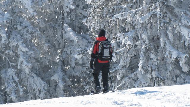 Mäusi bestaunt den tief verschneiten Bergwald