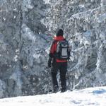 Mäusi bestaunt den tief verschneiten Bergwald