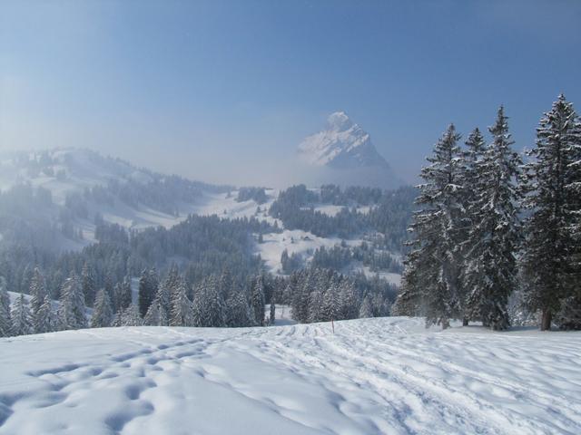 kurz vor dem Brünnelistock, bogen wir rechts ab Richtung Zwäcken/Müsliegg