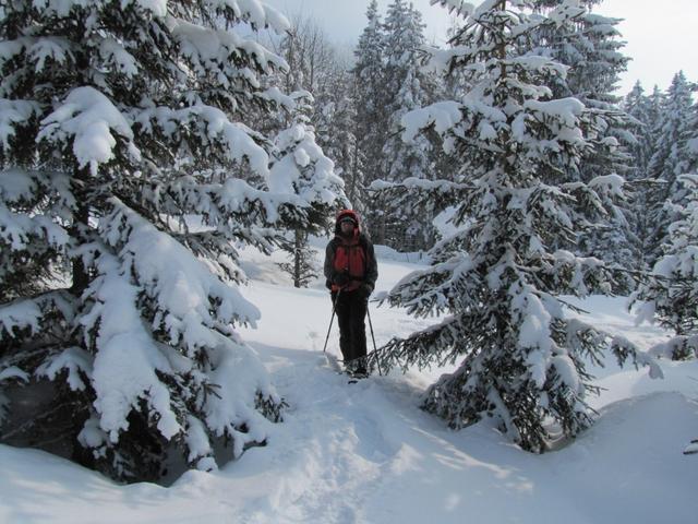 wieder führte uns der Weg durch Wälder die vom Schnee fast zugedeckt waren