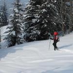 Mäusi zieht ihre Spuren durch den verschneiten Winterwald