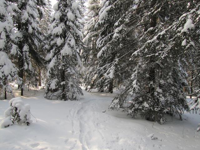 Blick zurück auf unsere Spuren