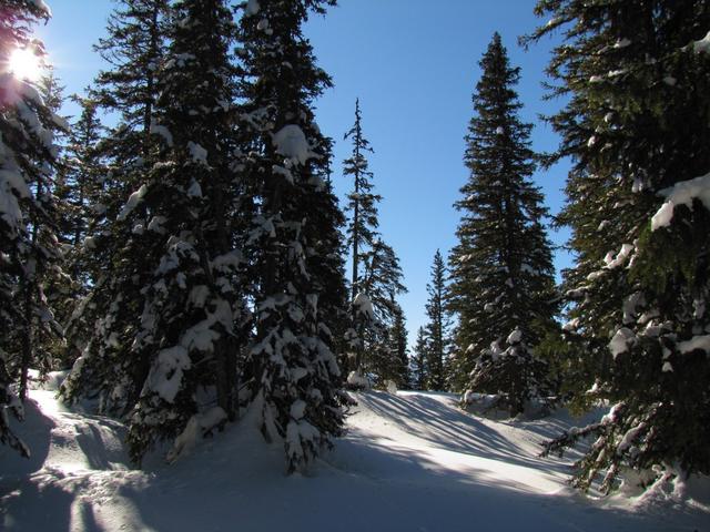 was für eine schöne Schneeschuhtour