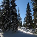 was für eine schöne Schneeschuhtour