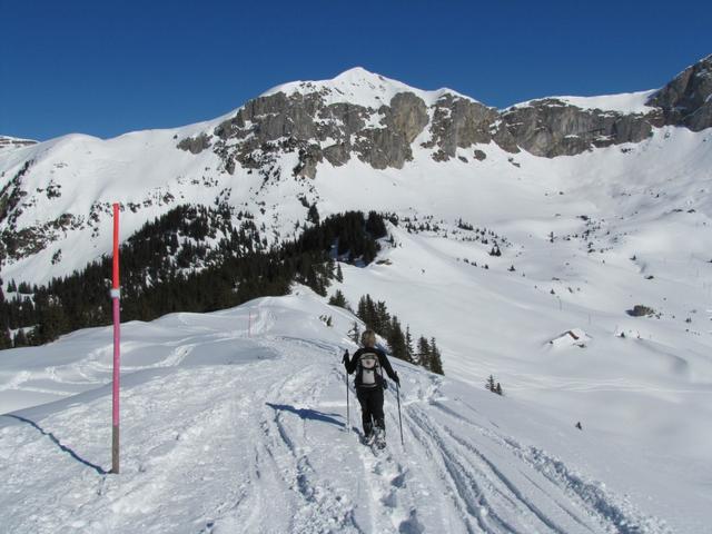 auf dem breiten Grat entlang, geht es abwärts Richtung Fleschsee