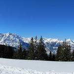 Breitbildfoto beim zugeschneiten Fleschsee, mit Blick in die Urner Alpen