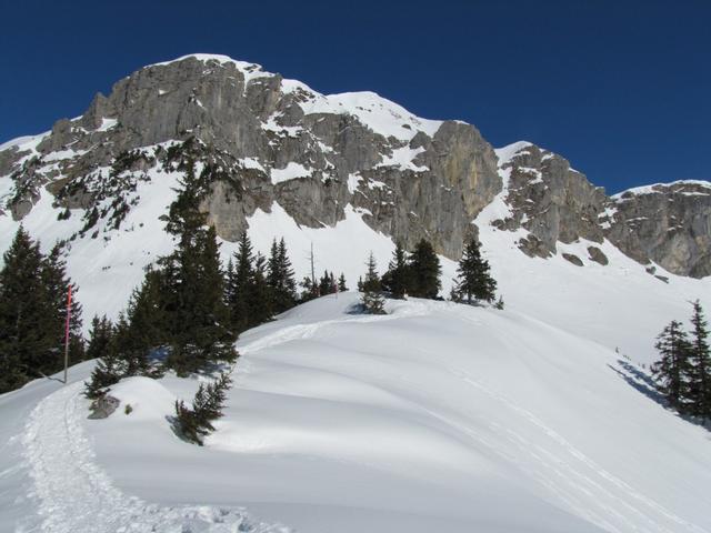 was für eine schöne Schneeschuhtour kurz nach der Chalberweid