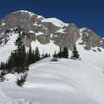 was für eine schöne Schneeschuhtour kurz nach der Chalberweid