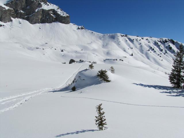 auf der Alp "zur Gand"  mit Blick Richtung Eggen