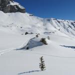 auf der Alp "zur Gand"  mit Blick Richtung Eggen