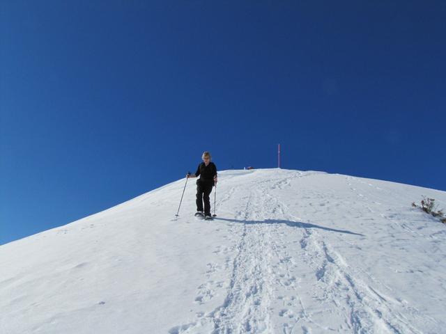 es gibt nichts schöneres als mit Schneeschuhen einen Hang abwärts zu gleiten