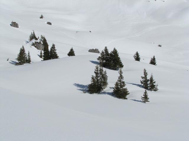 einfach schön diese Gegend. Gemacht für das Schneeschuhlaufen