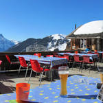 sehr schönes Breitbildfoto von der Terrassse aus gesehen mit Blick in die Urner Alpen