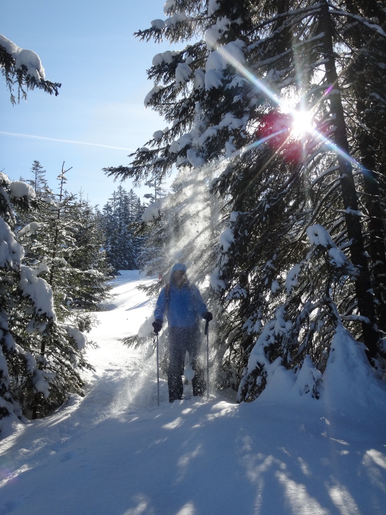 bei Erlenblätz geht es durch den Wald