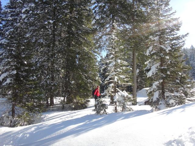 Franco im tiefverschneiten Wald