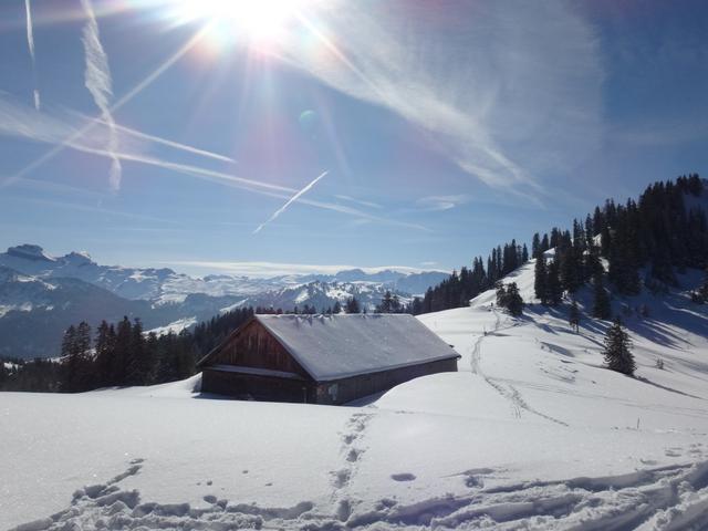 Blick von der Furggelenhütte Richtung Furggelenstock