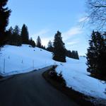 Skitourenfahrer nehmen den Skilift, wir Schneeschuhläufer, laufen auf der Bergstrasse zum Naturfreundehaus