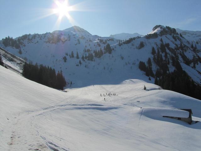 Blick abwärts nach Mittler Stafel 1584 m.ü.M.